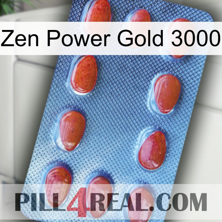 Zen Power Gold 3000 06